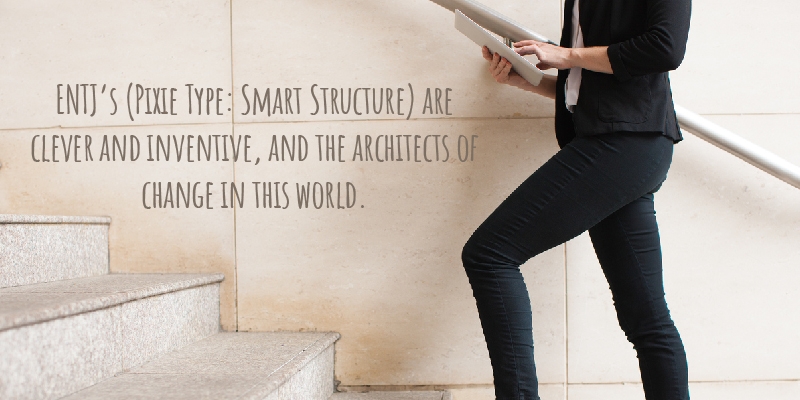ENTJ’s (Pixie Type: Smart Structure) are clever and inventive, and the architects of change in this world.