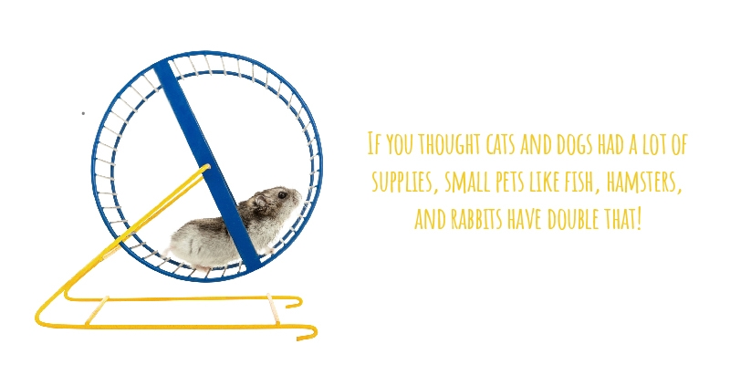 If you thought cats and dogs had a lot of supplies, small pets like fish, hamsters, and rabbits have double that!