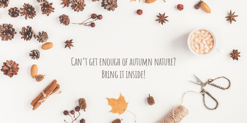 Can’t get enough of autumn nature? Bring it inside!