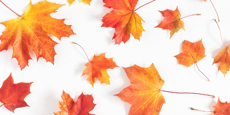 Transitioning Your Home From Summer to Fall